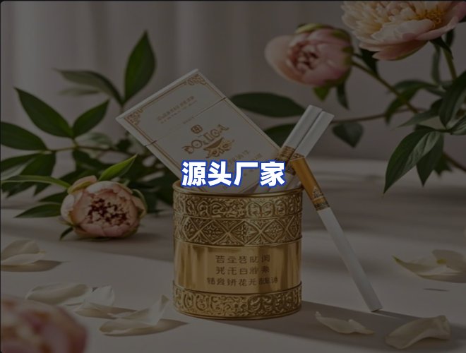 专业团队